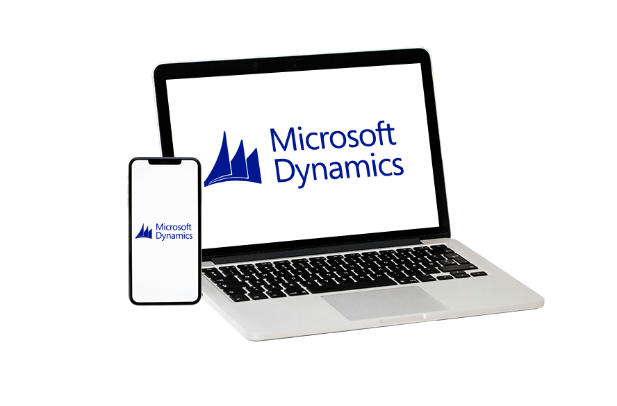 Microsoft Dynamics Vega IT